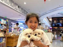 -柴犬小屋·柴餐厅·狗咖食堂(金鼎广场店)