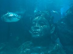-暹罗海洋世界