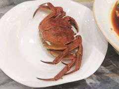 -广东大排档(国奥店)