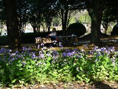 -上海鲜花港