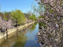 -海棠花溪(元大都城垣遗址公园)