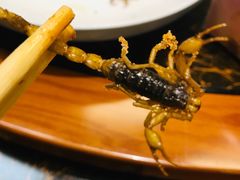 -老江南春·中国龙菜(衡山路店)