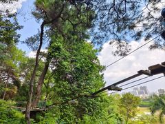 -芦仙山景区-飞越丛林探险乐园