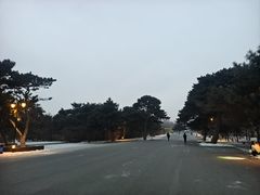 -北陵公园