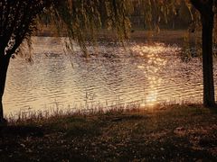 -水西公园