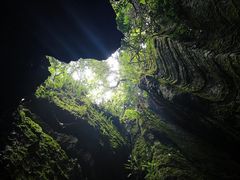 -梦幻奥陶纪景区