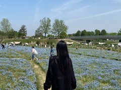 -上海佘山国家森林公园天马山园