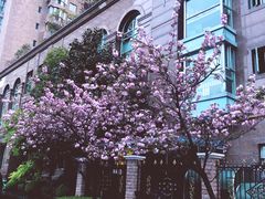 -上海广播电视台&上海东方传媒集团有限公司快递接收处