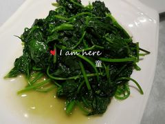 清炒番薯叶-春天来了(印象新天地店)