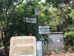 -南丫岛