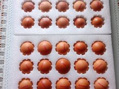 -光明食品集团有限公司