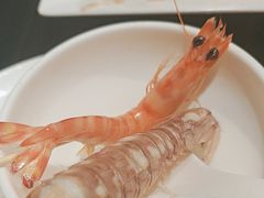 小九节虾-太古汇海鲜姿造(延寿店)