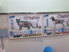 -佳雯宠物医院·皮肤科·内外科(春晓路分院)