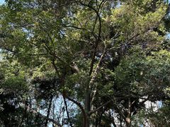 -成都市活水公园