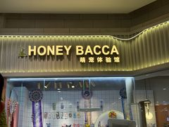 -Honey Bacca 哈尼芭卡高端萌宠(朝阳大悦城店)