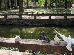 -西园戒幢律寺