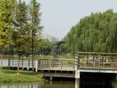 -昆山城市生态森林公园