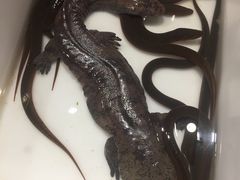 -宏运厨房·海鲜青岛菜·生日宴(城市阳台店)