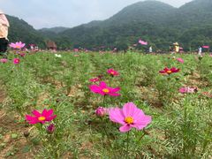 -广州市石门国家森林公园