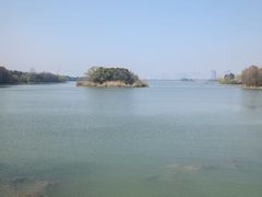 -长广溪湿地公园