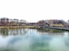 -溱湖国家湿地公园