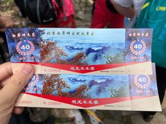 -白草畔自然风景区