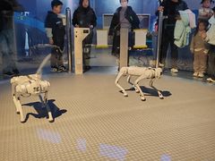 -中国杭州低碳科技馆