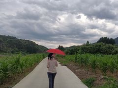 -龙井关长城漂流
