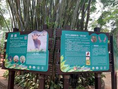 -海南热带野生动植物园