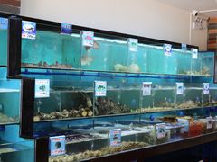 水产区-南海渔家•海鲜•正宗海南菜(海棠湾店)