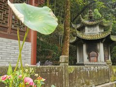 -韬光茶庵