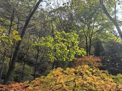 -丹东凤凰山景区