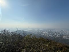 -紫金山山顶公园
