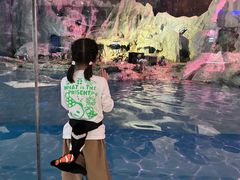 -帝企鹅自助餐厅•儿童岛•真企鹅(长隆企鹅酒店)