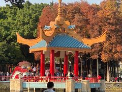 -金砂公园