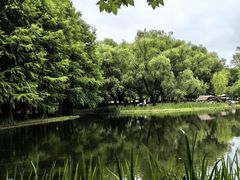 -上海共青森林公园