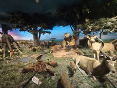 -国家自然博物馆