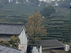 -十里琅珰