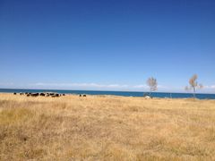 -青海湖国家重点风景名胜区