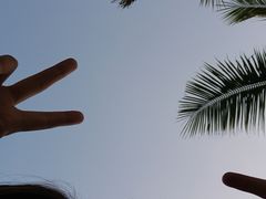 -深圳湾公园(南山区)