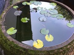-宝光寺