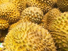 -佳乐家(新华店)