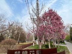 -太阳宫公园