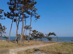 -老太太海鲜城(森林公园任家台店)