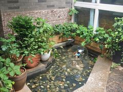 -祖母的厨房西餐厅(丽江金茂店)