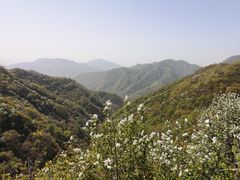 -沣峪口