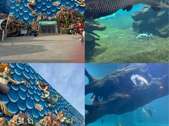 -华夏文旅西安度假区