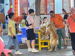 -八木轩·寻味大理白族民俗餐厅(文献路店)