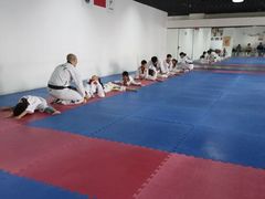 -陈中跆拳道(中关村馆)