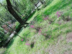 -长春市南湖公园